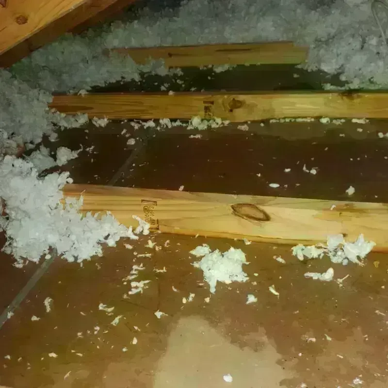 Attic Water Damage in North Liberty, IN